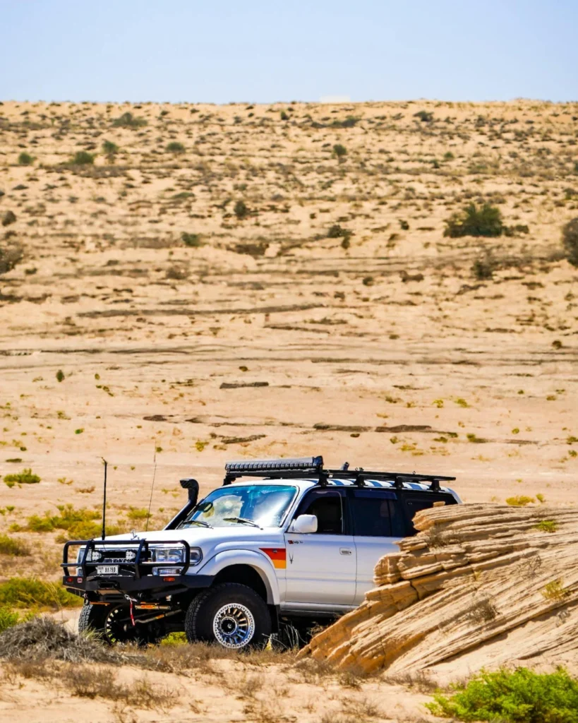 y61 desert drive
